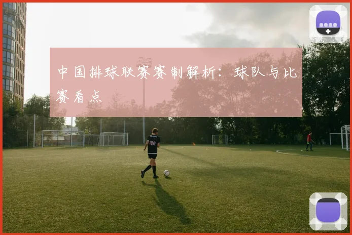 中国排球联赛赛制解析：球队与比赛看点
