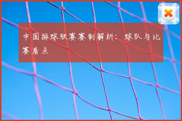中国排球联赛赛制解析：球队与比赛看点